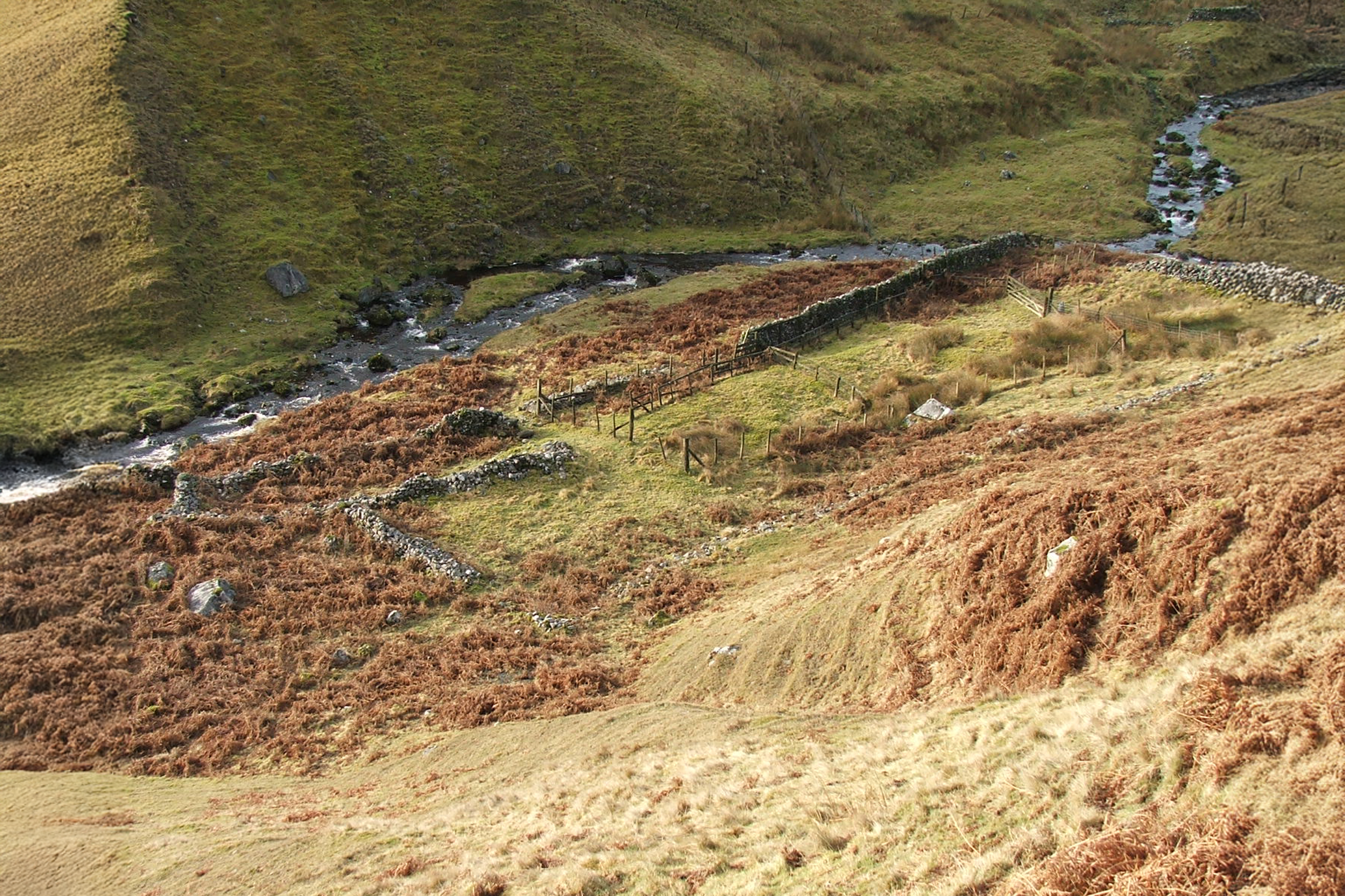 landscape surveys
